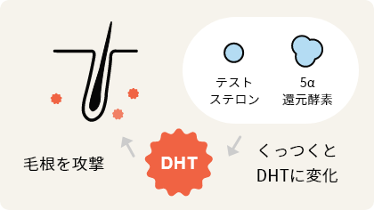 DHT