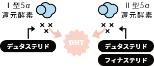 DHTへの変化を防ぐ