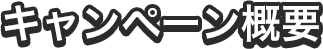 キャンペーン概要