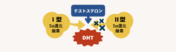 フィナステリドの効果